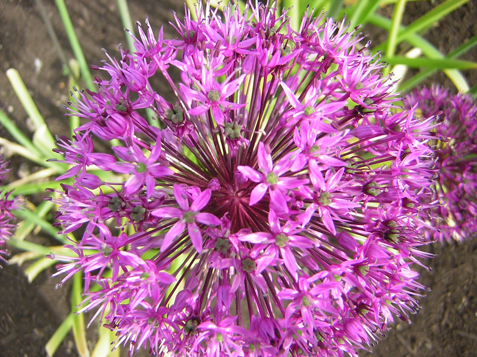 DSCN3167.jpg