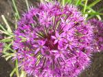 DSCN3167.jpg