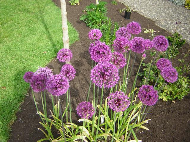 DSCN3168.jpg
