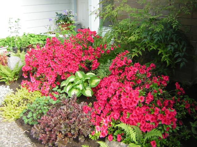 DSCN3169.jpg