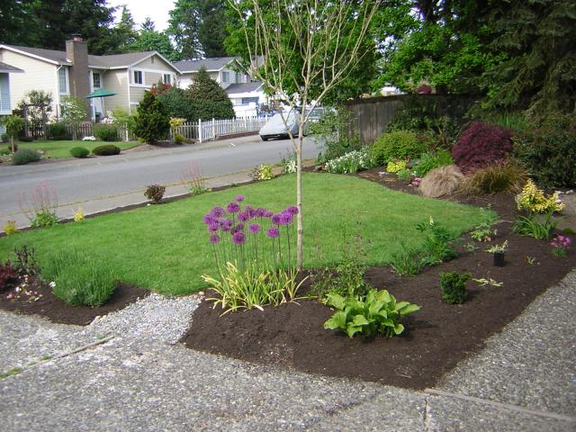 DSCN3170.jpg