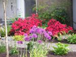 DSCN3172.jpg