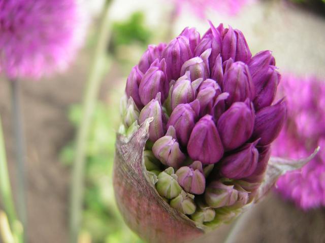 DSCN3173.jpg
