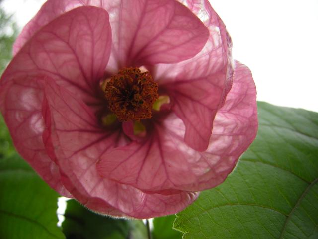 DSCN3176.jpg