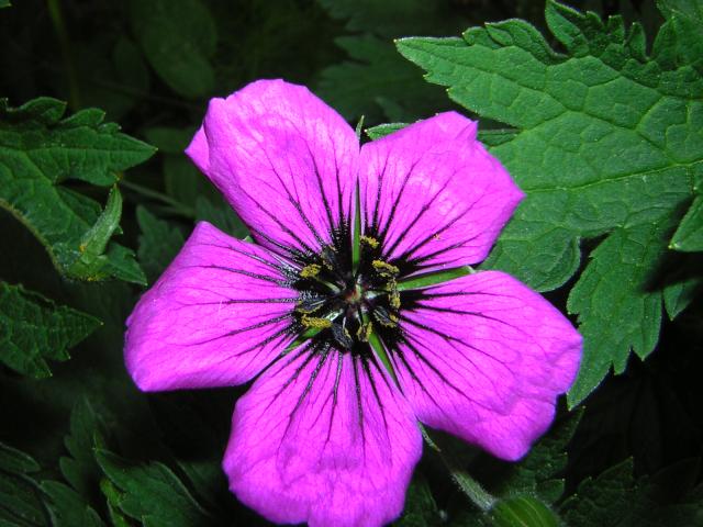 DSCN3180.jpg