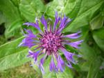 DSCN3188.jpg