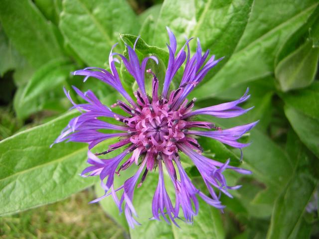 DSCN3188.jpg
