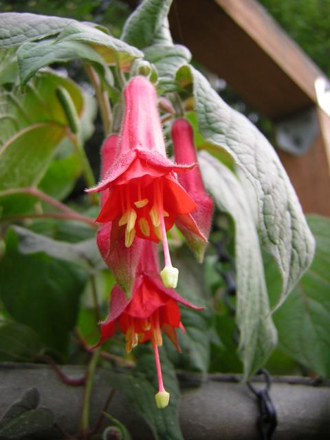 DSCN3197.jpg