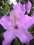 DSCN3198.jpg