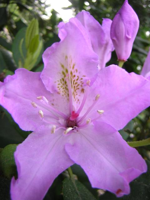 DSCN3198.jpg