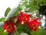 DSCN3200.jpg
