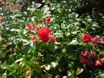 DSCN0434.jpg