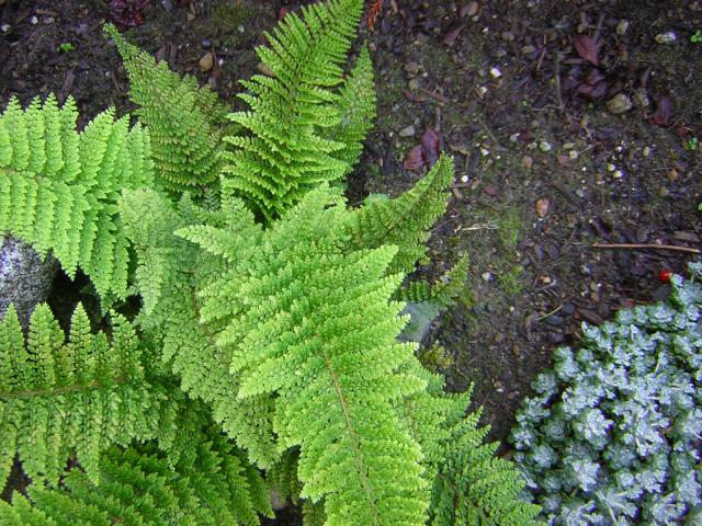 DSCN0440.jpg