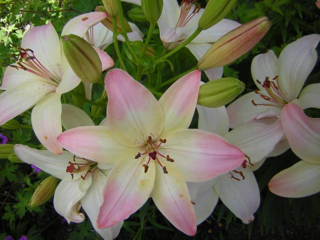 DSCN1952.jpg