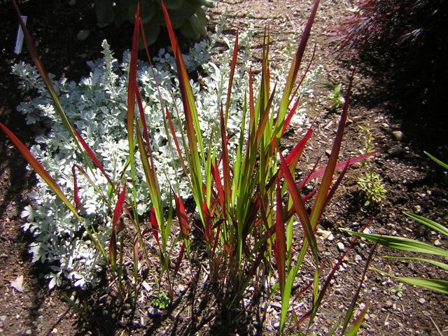DSCN1953.jpg