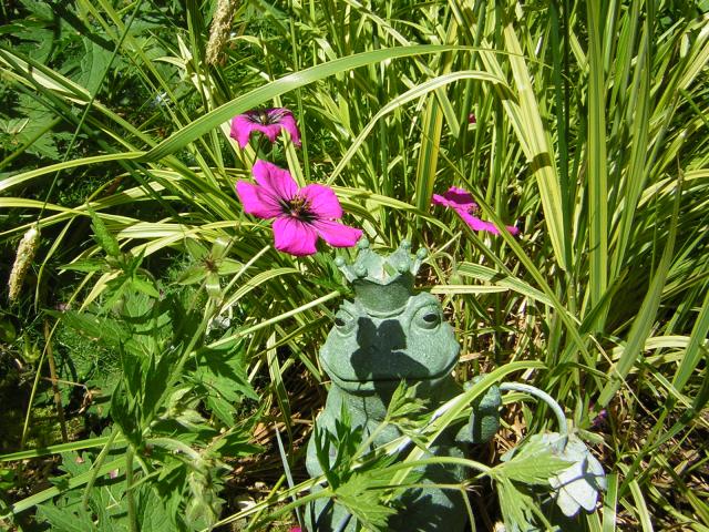 DSCN1970.jpg