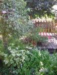 DSCN2468.jpg