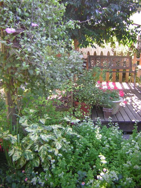 DSCN2468.jpg