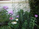 DSCN2469.jpg