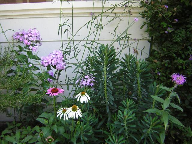 DSCN2469.jpg
