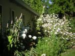 DSCN2470.jpg