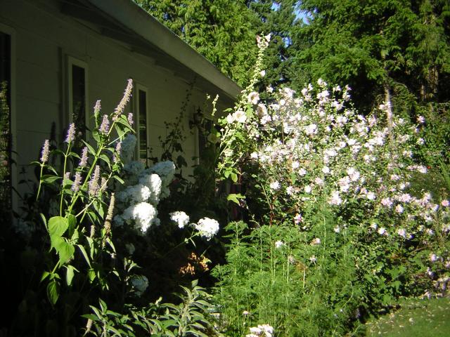 DSCN2470.jpg