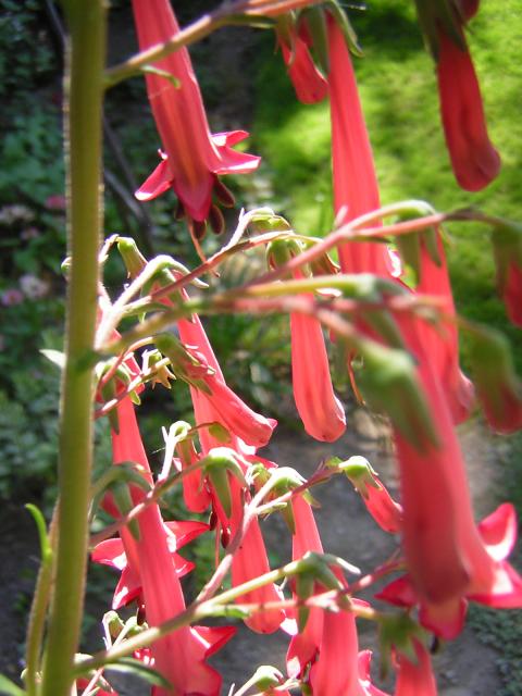 DSCN2472.jpg