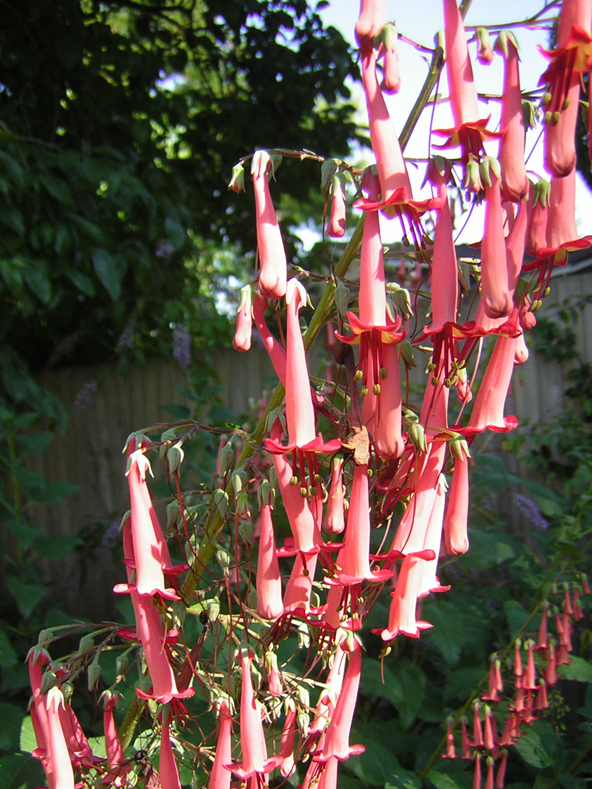 DSCN2475.jpg