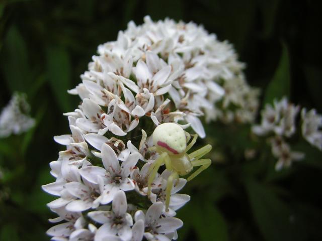 DSCN2479.jpg