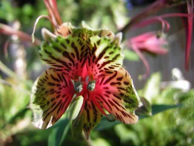 DSCN2481.jpg