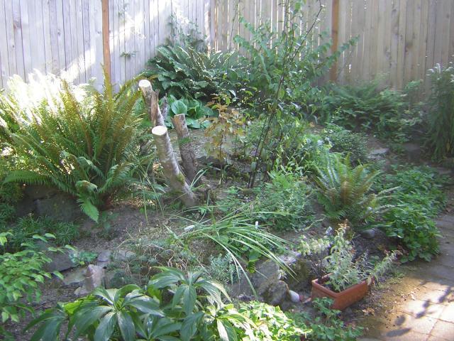 DSCN2482.jpg