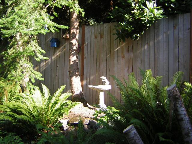 DSCN2483.jpg