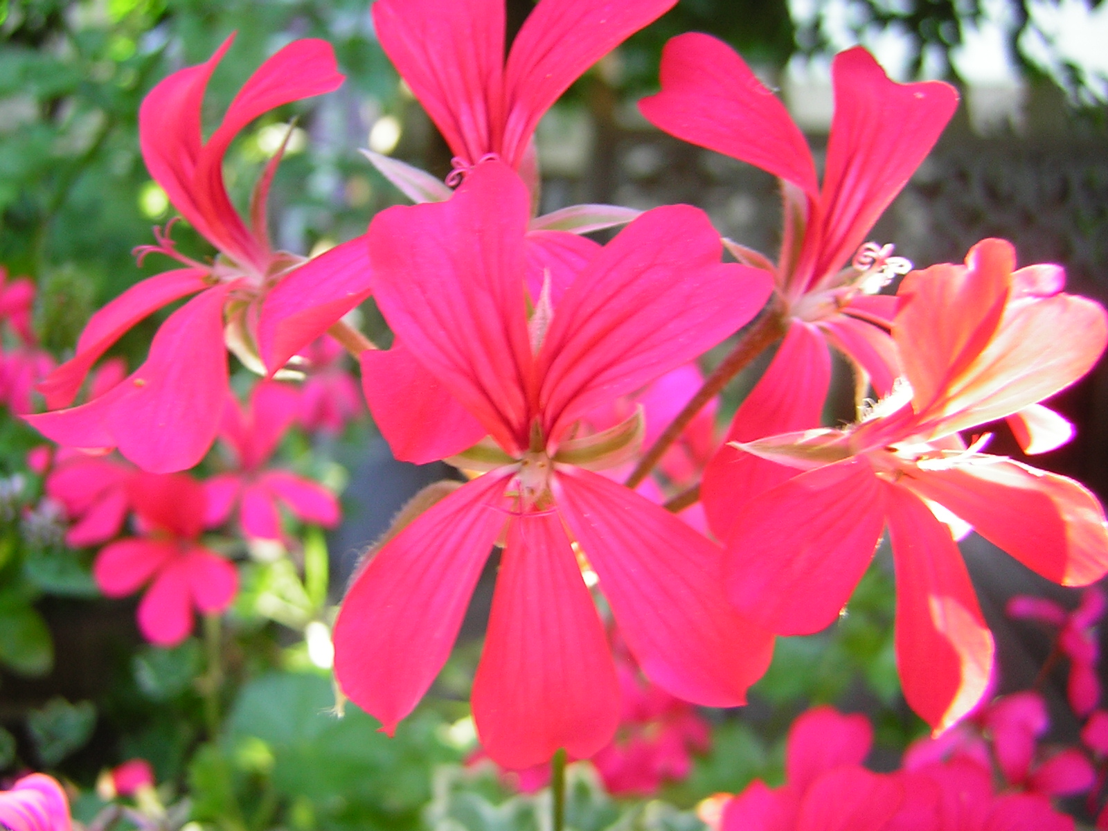 DSCN2488.jpg