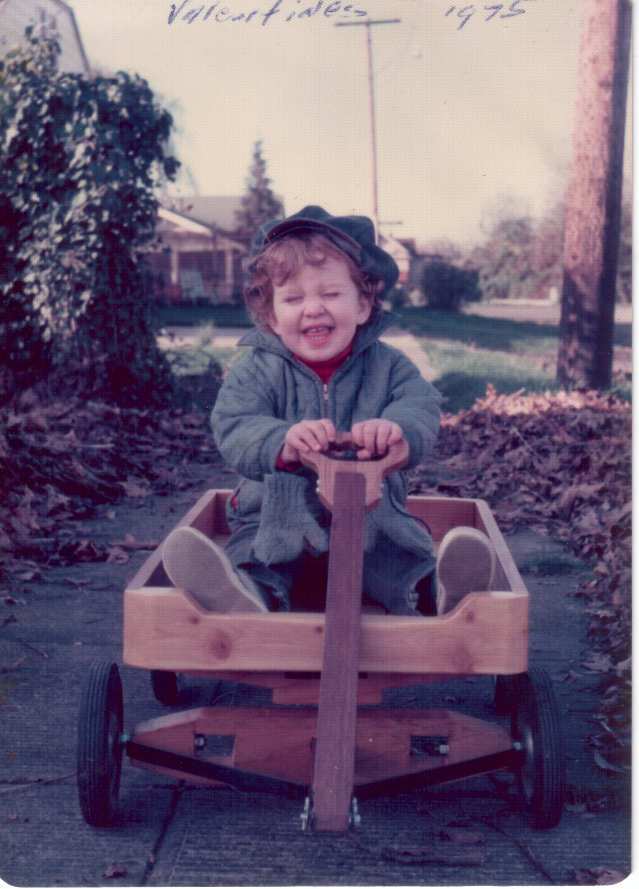 wagon2.jpg