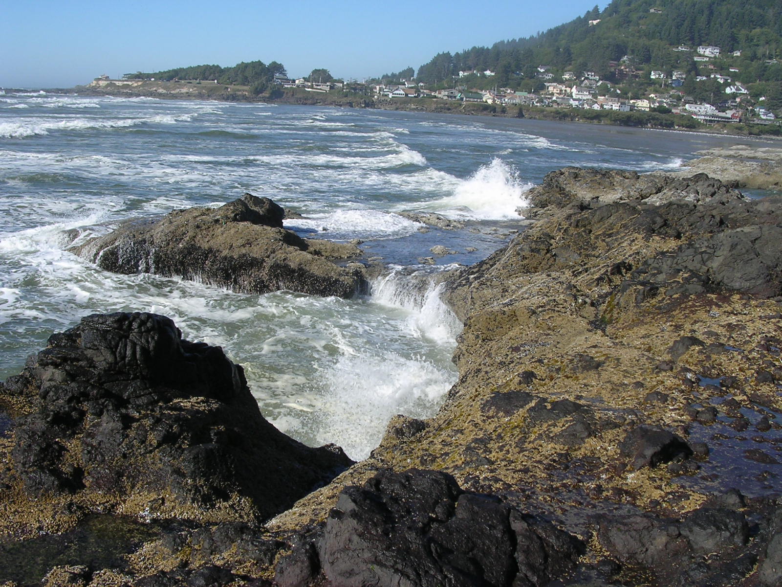 dscn0413.jpg