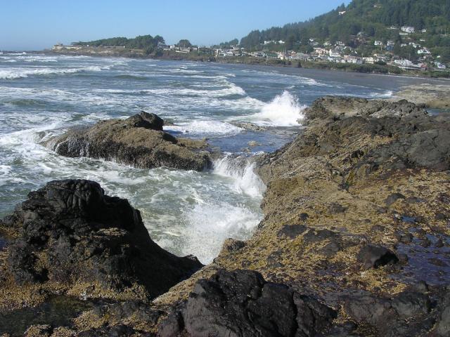 dscn0413.jpg