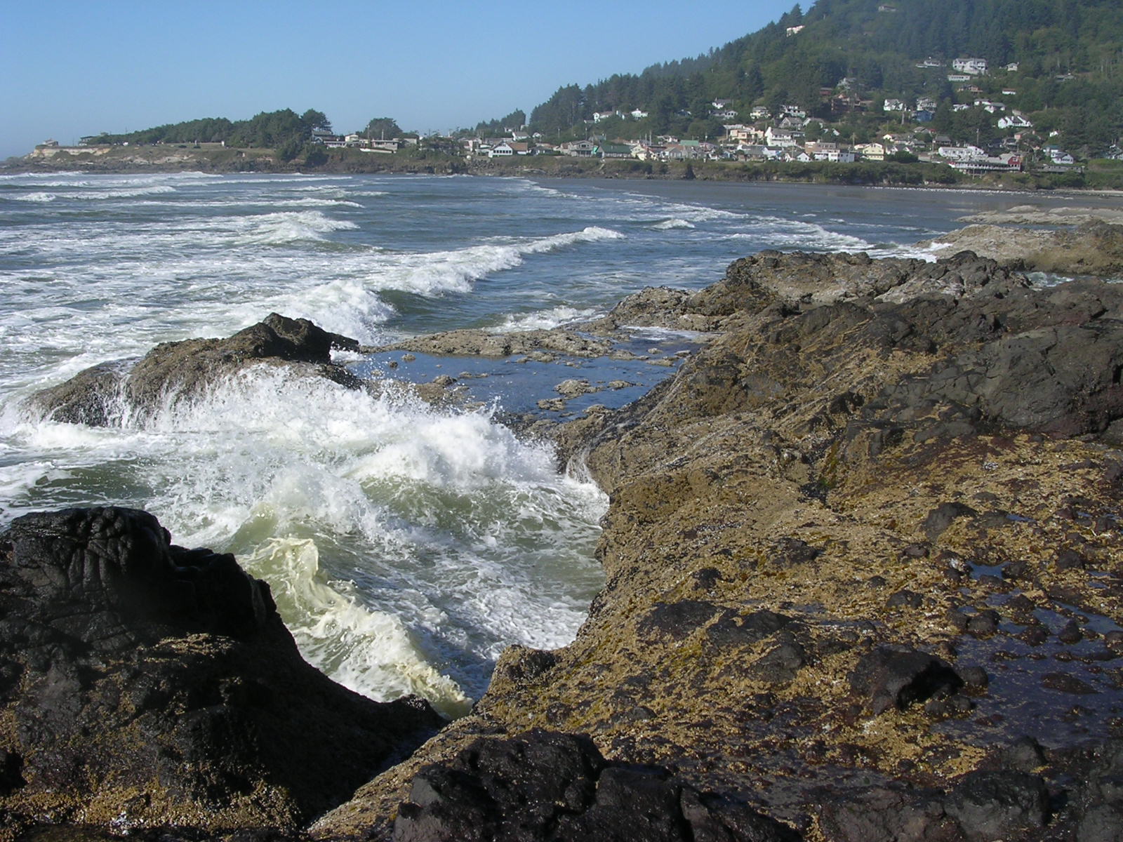 dscn0415.jpg