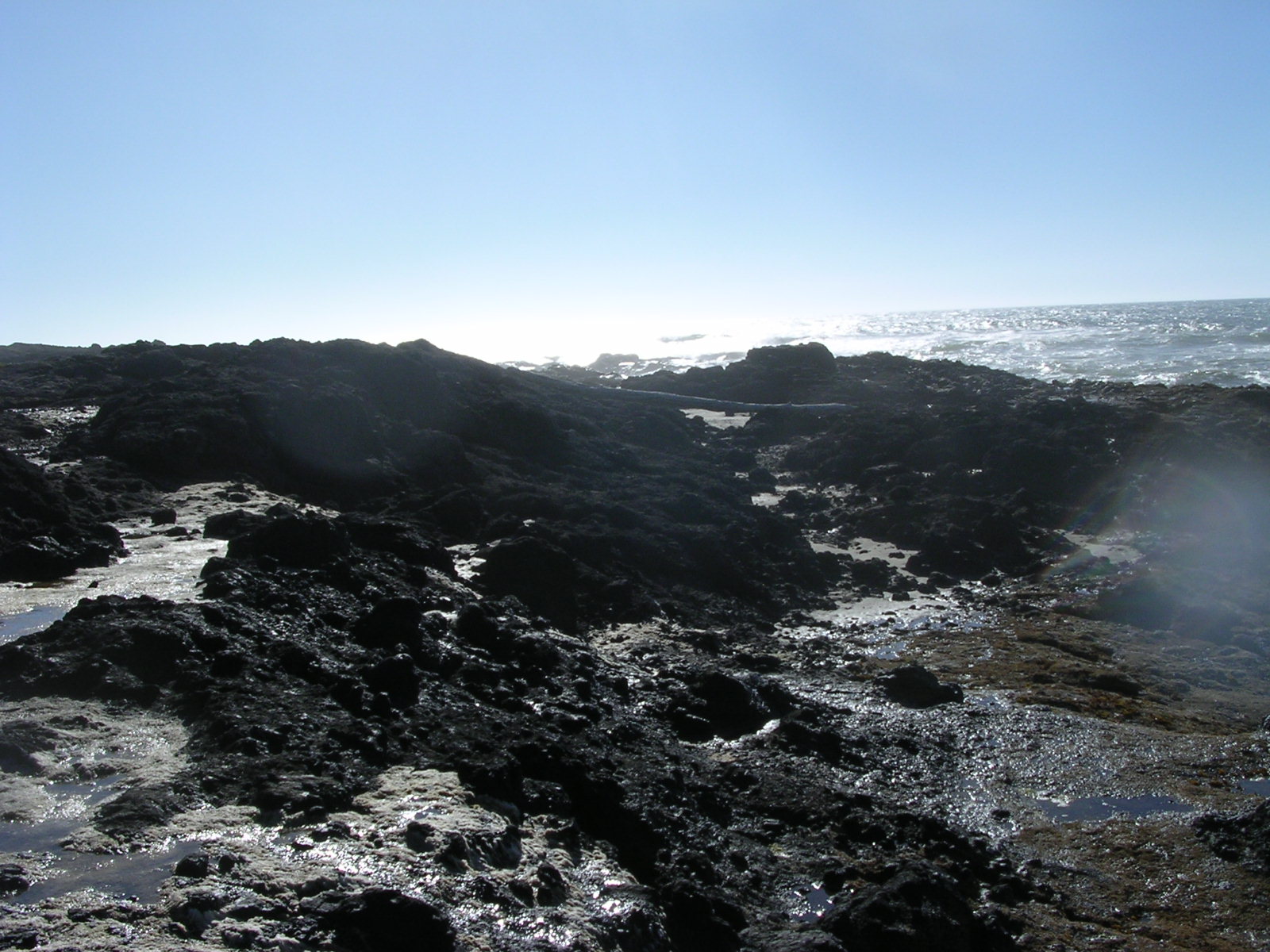 dscn0417.jpg