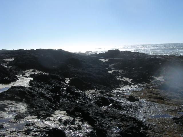 dscn0417.jpg