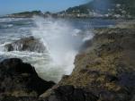dscn0419.jpg