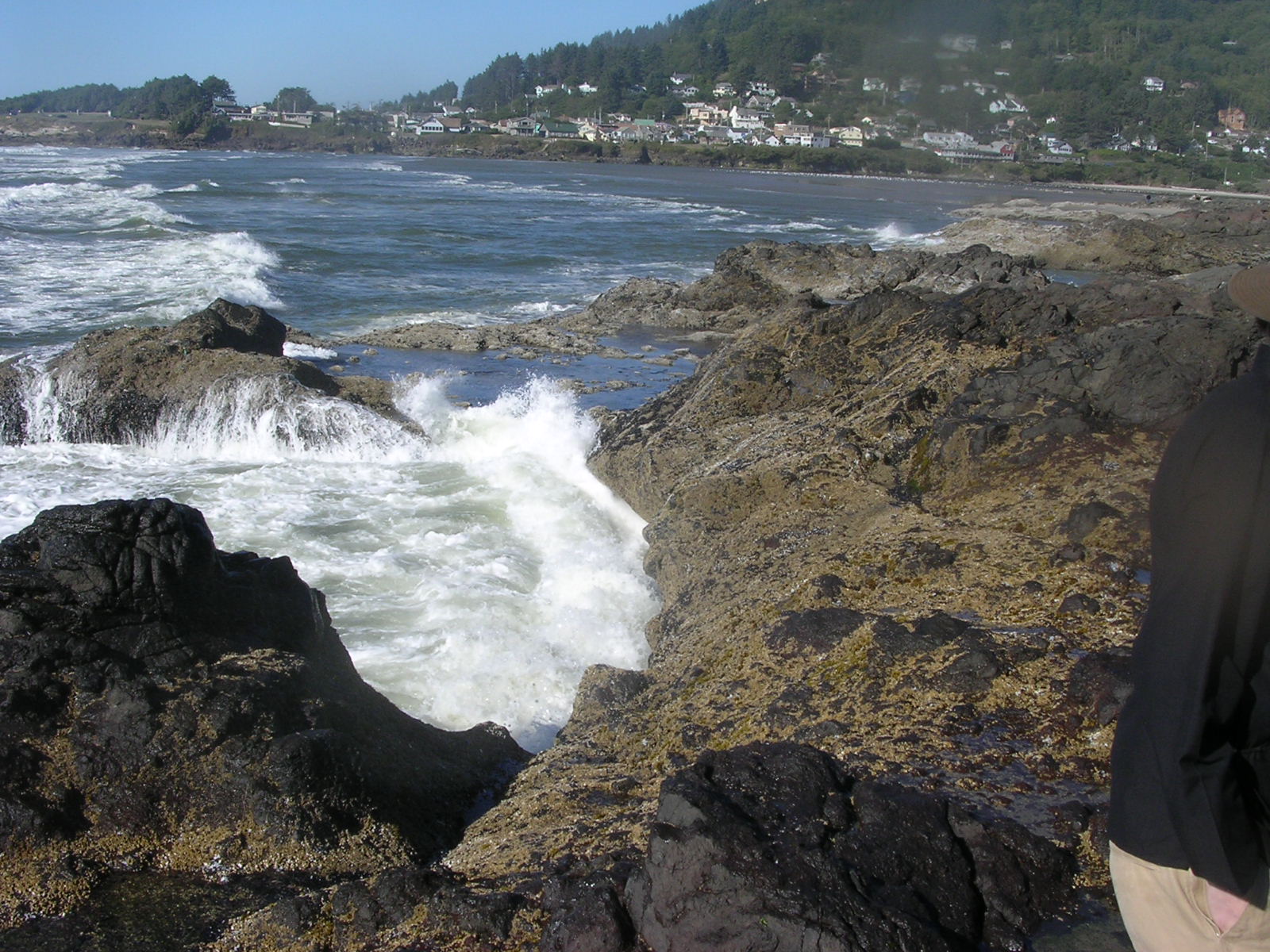 dscn0421.jpg