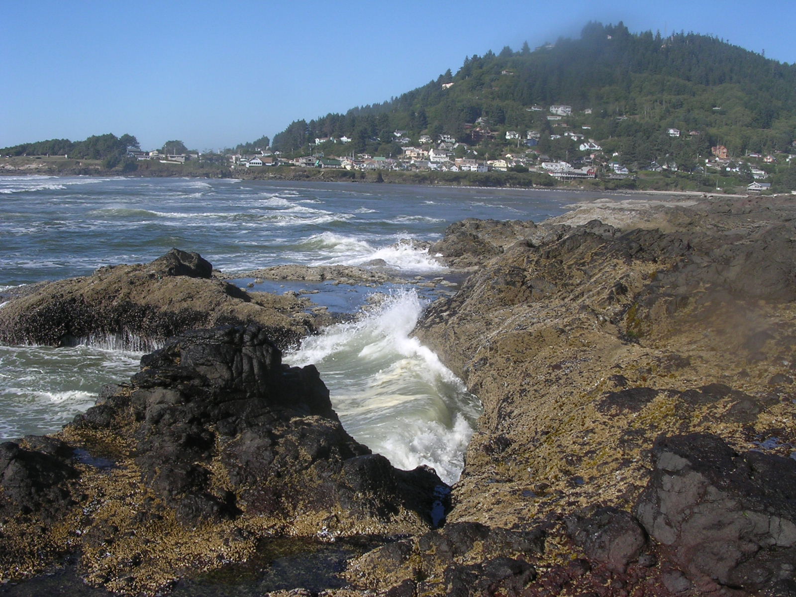 dscn0422.jpg