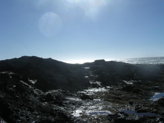 dscn0427.jpg