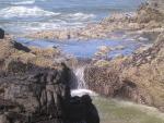 dscn0428.jpg