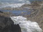 dscn0429.jpg