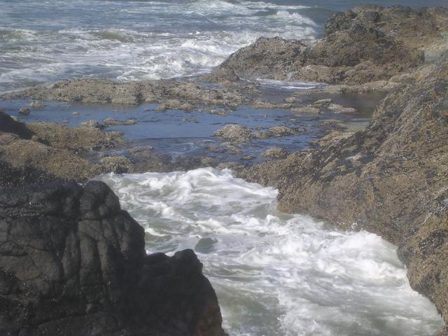dscn0429.jpg