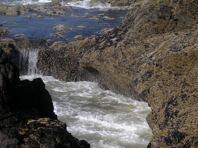 dscn0430.jpg