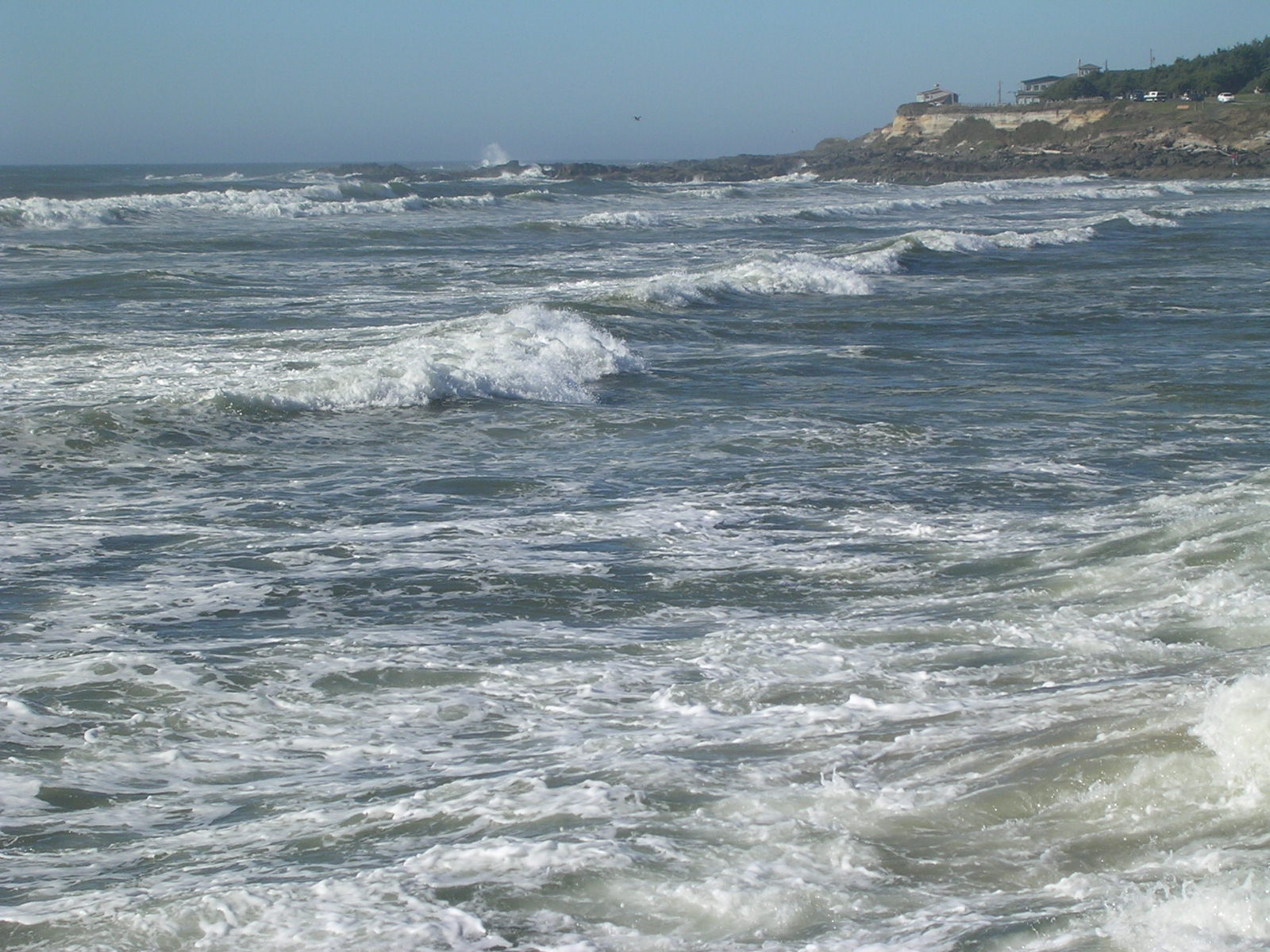 dscn0431.jpg
