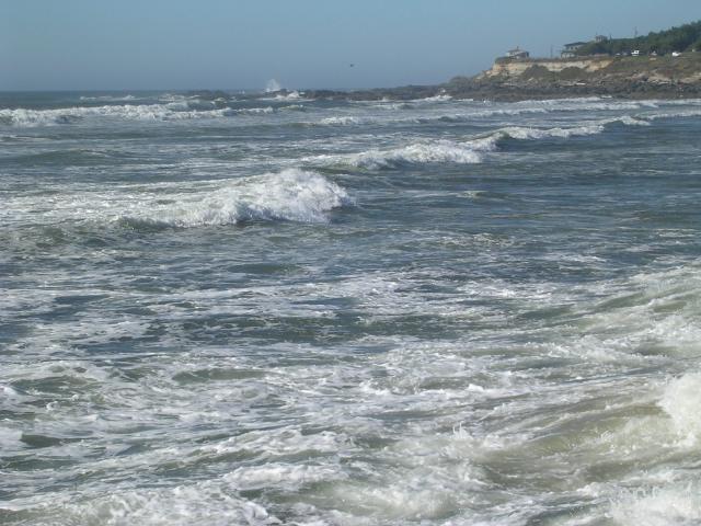 dscn0431.jpg