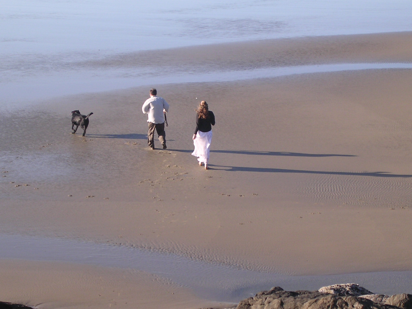 dscn0447.jpg